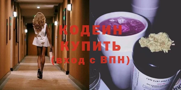 соль ск Дмитров