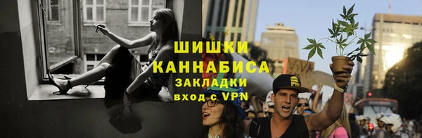 соль ск Дмитров