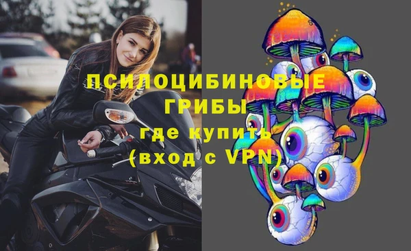 соль ск Дмитров