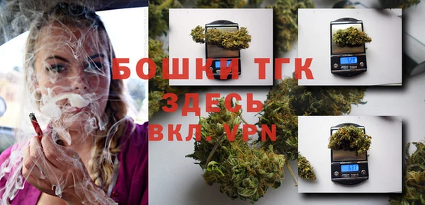 соль ск Дмитров