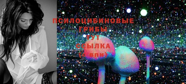 эйфоретик Дмитриев