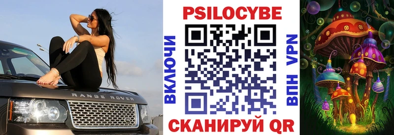 кракен ССЫЛКА  Железногорск-Илимский  Псилоцибиновые грибы Cubensis 